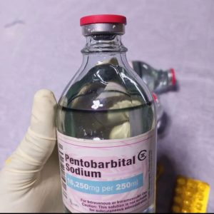 Nembutal – Solution